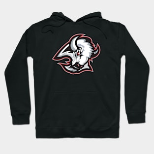 Buffalo Sabres Hoodie